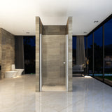 ALONI DRAAIDEUR VOOR NIS - 900 X 1900MM - CHROOM - HELDER GLAS