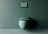 CREAVIT FREE HANGTOILET - RANDLOOS - ZONDER ZITTING - MAT NIJLGROEN
