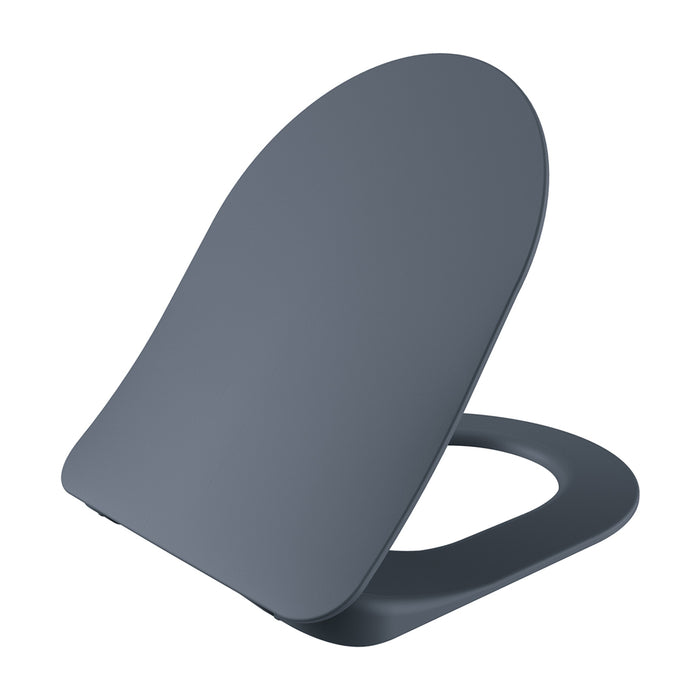WC-ZITTING DUROPLAST (SOFT-CLOSE & QUICK RELEASE) MET INOX SCHARNIEREN - MAT BASALT