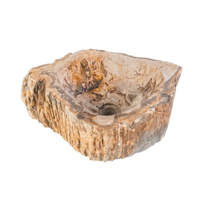 WASKOM FOSSIEL HOUT 30-35x15CM
