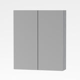 ALONI SALLY SPIEGELKAST, 2 DEUREN (60X70CM) - KLEUR ALUMINIUM