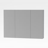 ALONI SALLY SPIEGELKAST, 2 DEUREN (100X70CM) - KLEUR ALUMINIUM